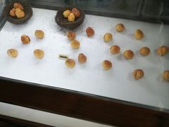 -飞来湖湿地公园