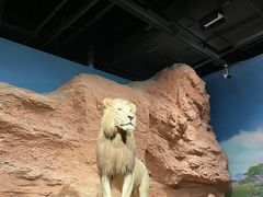 -浙江自然博物院(杭州馆)