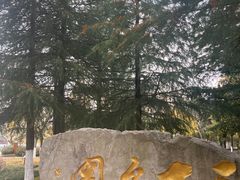 -水绘园