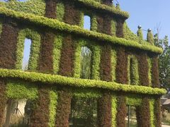 -武清南湖绿博园