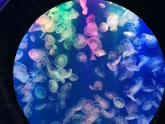 -成都浩海立方海洋公园