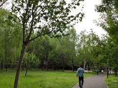 -玲珑塔公园