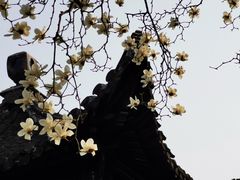 -何园