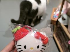 -解忧集市(北京路天河城店)