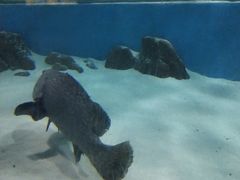 -苏州海洋馆