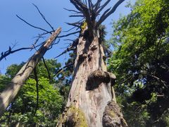 -东天目山风景区