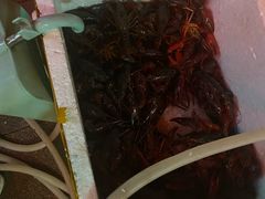 -小田油焖小龙虾(双井店)