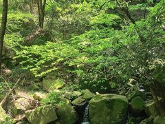 -波尔登森林公园