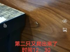 -巴犀烧烤(新崇光店)