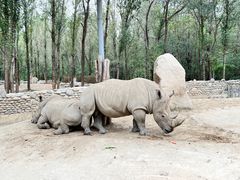 -北京野生动物园