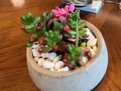 -佘山世茂艾美·御珍轩中餐厅