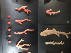 -绮丽珊瑚(台北101旗舰门市店)