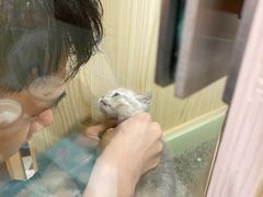 -屋虎猫馆(宝安大仟里店)