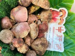 -福照楼汽锅鸡·云南菜(护国路店)