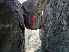 -喇嘛山国家森林公园