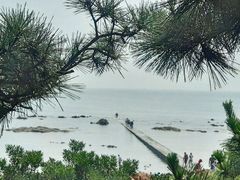 android_upload_pic-青岛第二海水浴场