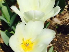 -长春公园(普阳街道)