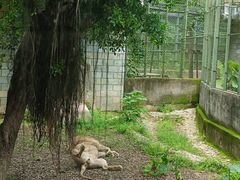 -福州动物园