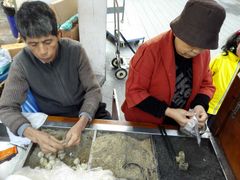 -叶氏麻糍(鼓浪屿店)