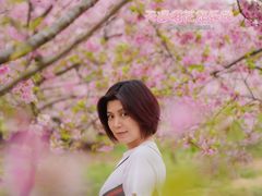 -天适樱花悠乐园