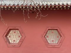 -桃花堤公园