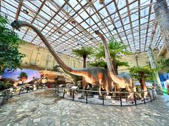 -国家自然博物馆