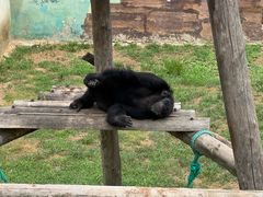 -西霞口神雕山野生动物世界