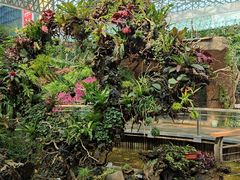 -花之城