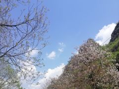 -孤山寨风景区