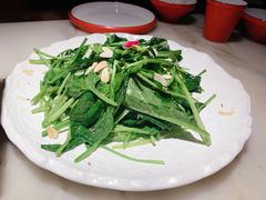 -枚青·临安酒肆(腾飞大厦店)