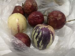 -瑞丽独树成林风景区