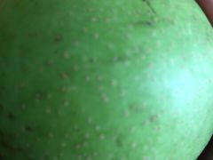 -呼吸森林·生态农庄农家乐私房菜