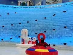 -广州热雪奇迹