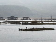 -腾冲北海湿地