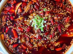 -黑土印象菜馆(三元桥店)