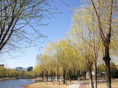 -中关村生命科学园