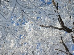 -中旅松花湖滑雪场