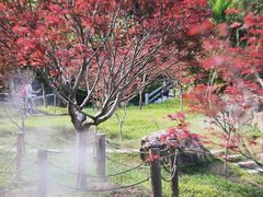 -广州市帽峰山景区