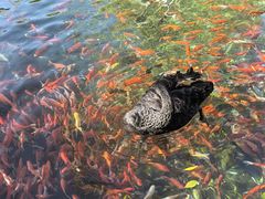 -水磨沟公园