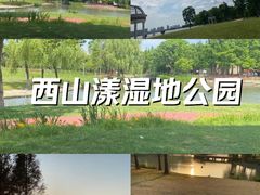 -西山漾湿地公园