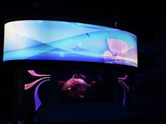 -海底巡游艇:尼莫和好友的海洋世界