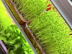 -番食园鲜食火锅(高新店)