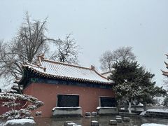 -戏马台景区
