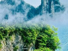 -鹿院坪生态旅游景区