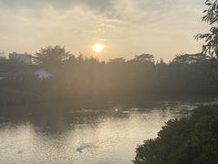 -大亚湾红树林城市湿地公园