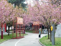 -终南山古楼观历史文化景区