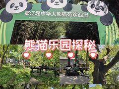 -都江堰中华大熊猫苑