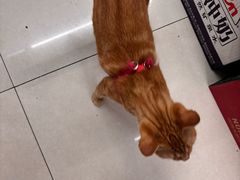 -京东便利店(南翔老街店)