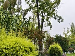 -府河摄影公园