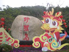 -野狸岛